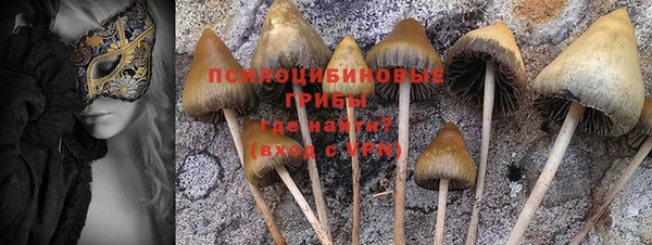 мет Дмитров