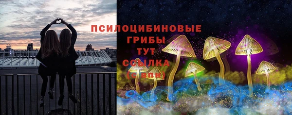 а пвп мука Осташков
