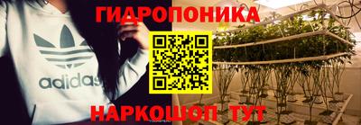 ПСИЛОЦИБИНОВЫЕ ГРИБЫ Пугачёв