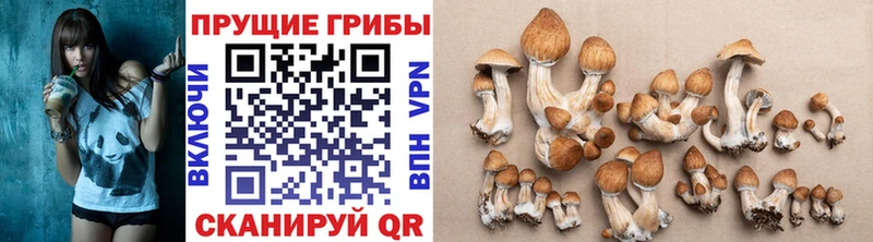 Галлюциногенные грибы мицелий как найти закладки Отрадное