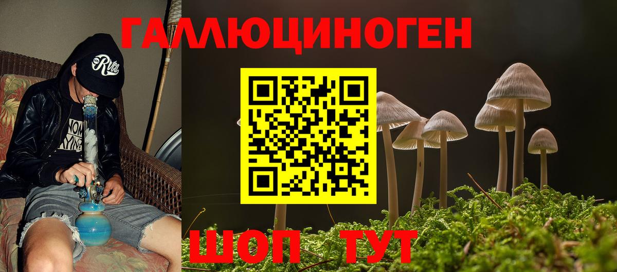 сколько стоит  Псилоцибиновые грибы Psilocybine cubensis  Вход с VPN  Отрадное 