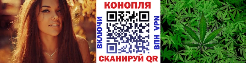 МАРИХУАНА план  купить наркоту  Отрадное 