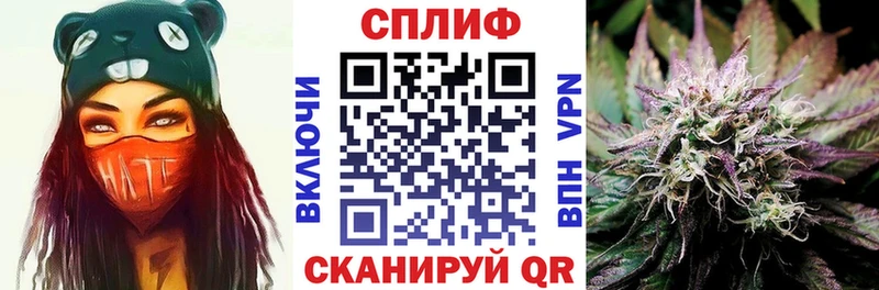 Конопля гибрид Отрадное